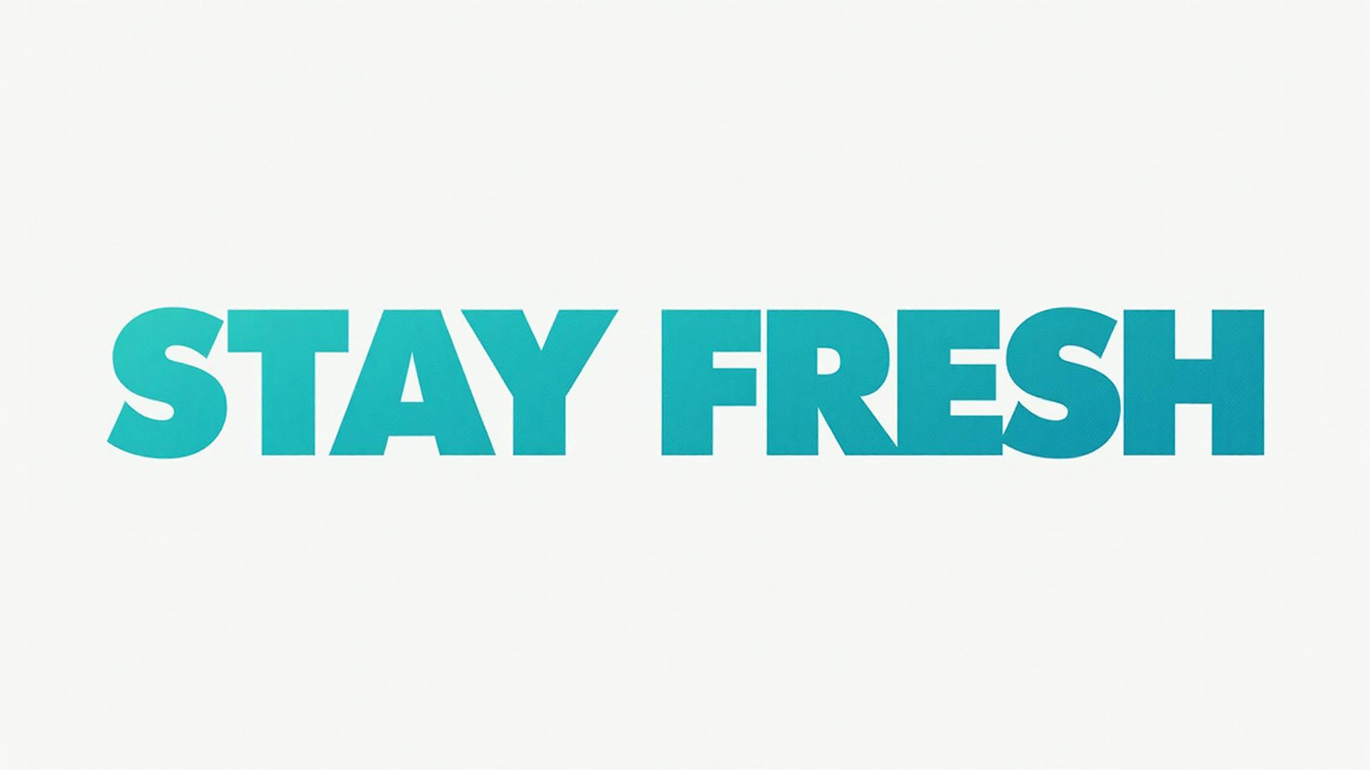 Stay Fresh Vent Ceiling Vent Air Freshener 4"x10"